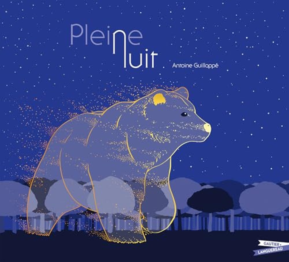couverture de : Pleine nuit